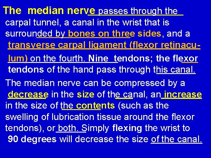 The median nerve passes through the carpal tunnel, a canal in the wrist that