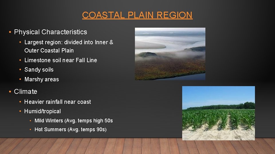 COASTAL PLAIN REGION • Physical Characteristics • Largest region: divided into Inner & Outer