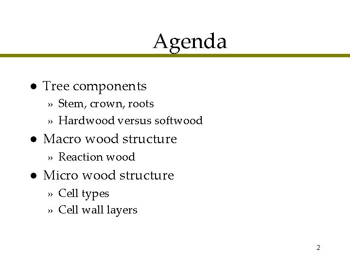 Agenda l Tree components » Stem, crown, roots » Hardwood versus softwood l Macro