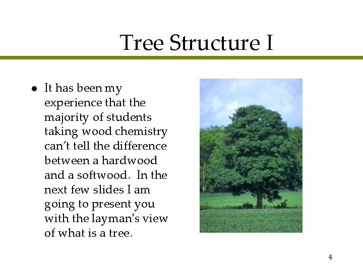 Tree Structure I l It has been my experience that the majority of students