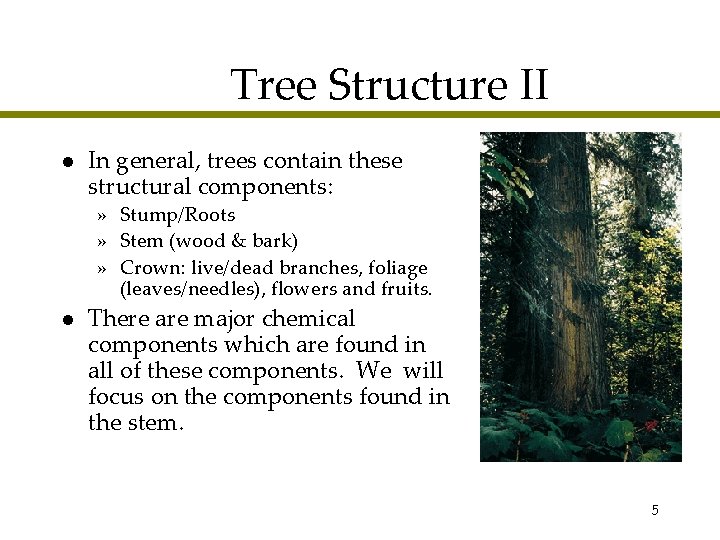 Tree Structure II l In general, trees contain these structural components: » Stump/Roots »