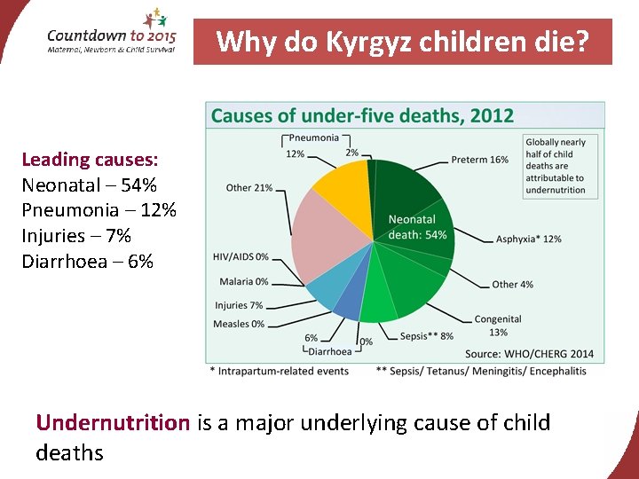 Why do Kyrgyz children die? Leading causes: Neonatal – 54% Pneumonia – 12% Injuries