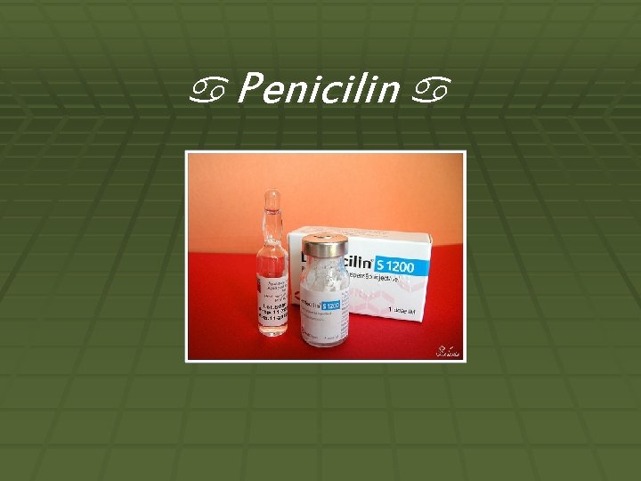 a Penicilin a 