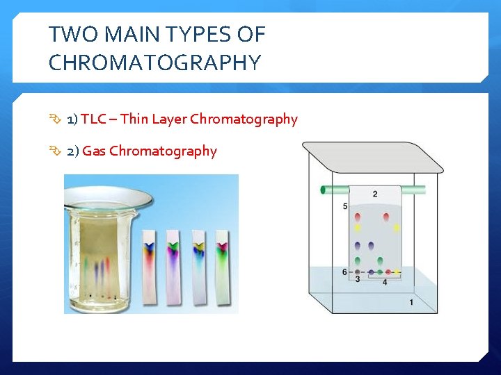 TWO MAIN TYPES OF CHROMATOGRAPHY 1) TLC – Thin Layer Chromatography 2) Gas Chromatography