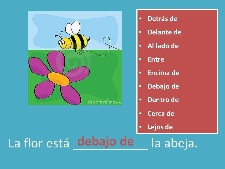 • Detrás de • Delante de • Al lado de • Entre • • Detrás de • Delante de • Al lado de • Entre •