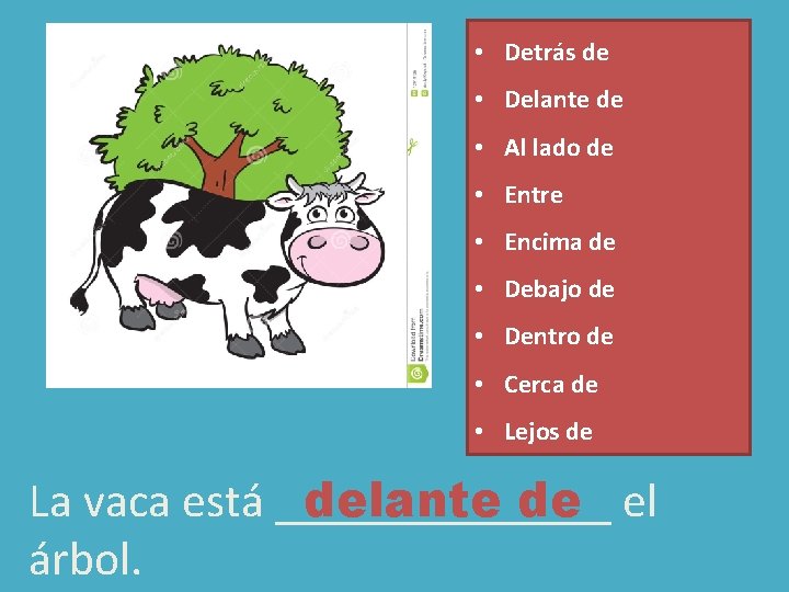 • Detrás de • Delante de • Al lado de • Entre • • Detrás de • Delante de • Al lado de • Entre •