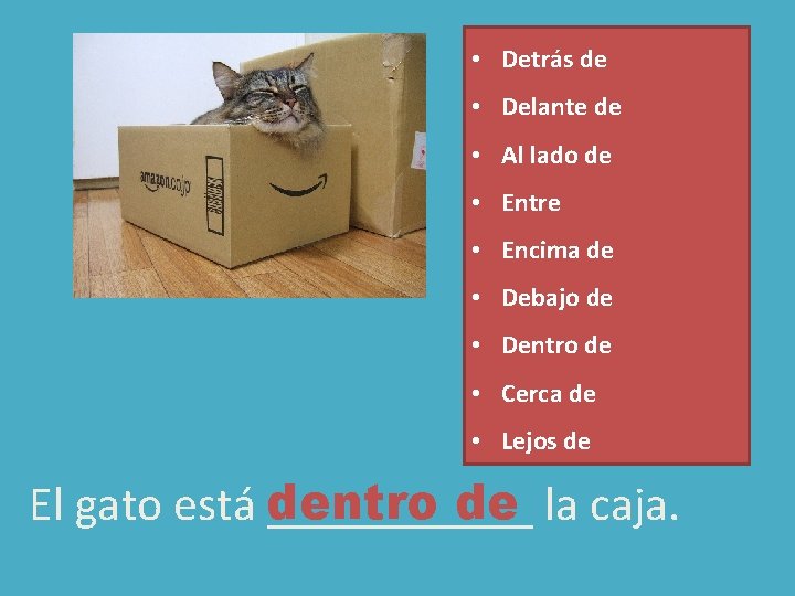 • Detrás de • Delante de • Al lado de • Entre • • Detrás de • Delante de • Al lado de • Entre •