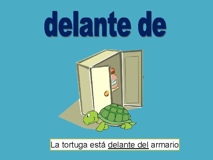 La tortuga está delante del armario La tortuga está delante del armario