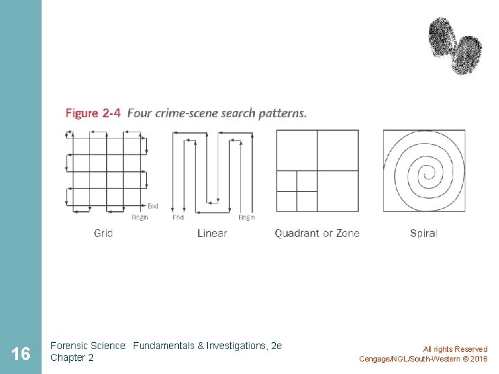 16 Forensic Science: Fundamentals & Investigations, 2 e Chapter 2 All rights Reserved Cengage/NGL/South-Western