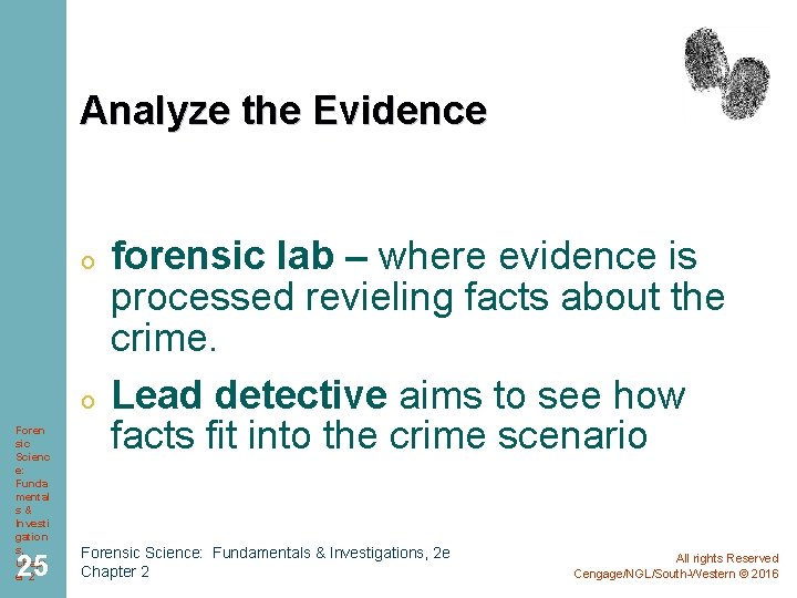 Analyze the Evidence o o Foren sic Scienc e: Funda mental s& Investi gation