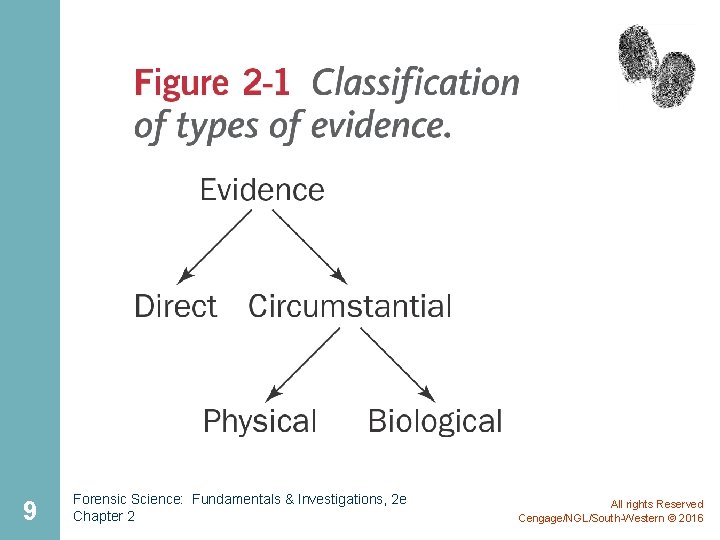 9 Forensic Science: Fundamentals & Investigations, 2 e Chapter 2 All rights Reserved Cengage/NGL/South-Western