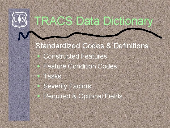 TRACS Data Dictionary Standardized Codes & Definitions: § § § Constructed Features Feature Condition