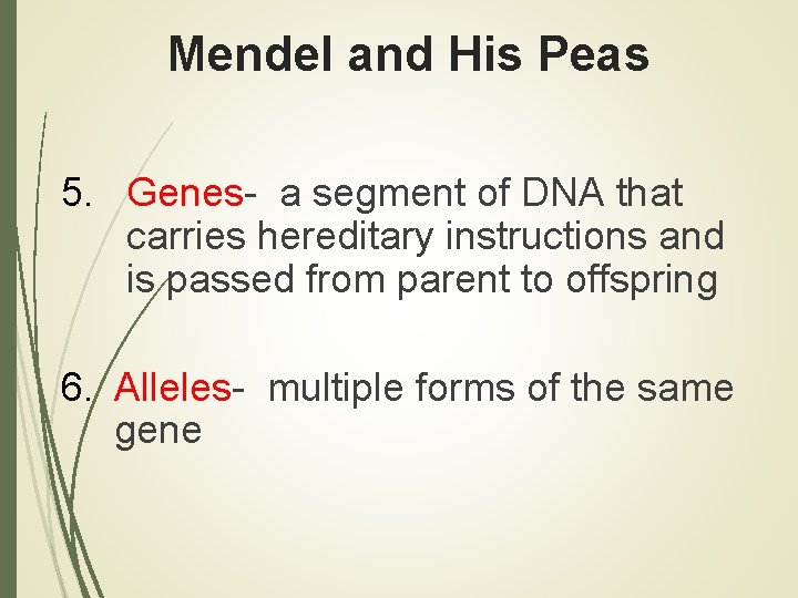 Mendel and His Peas 5. Genes- a segment of DNA that carries hereditary instructions