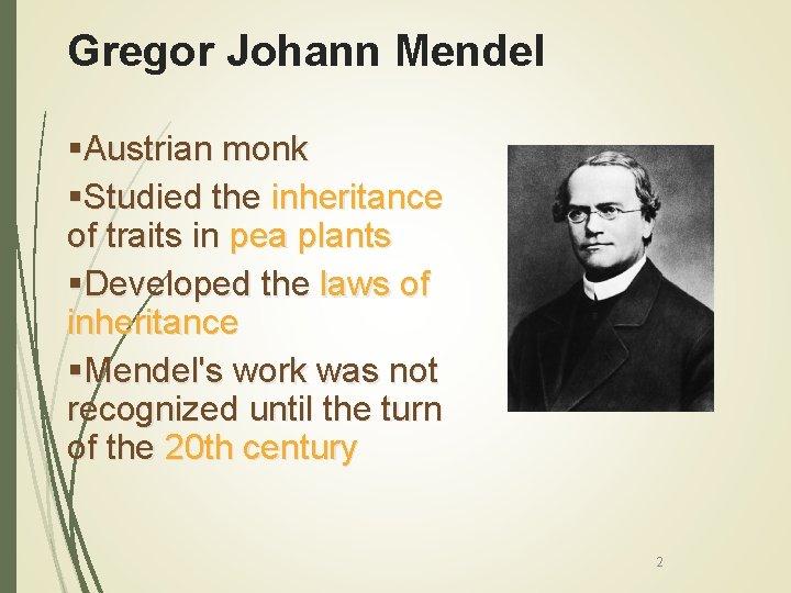 Gregor Johann Mendel §Austrian monk §Studied the inheritance of traits in pea plants §Developed