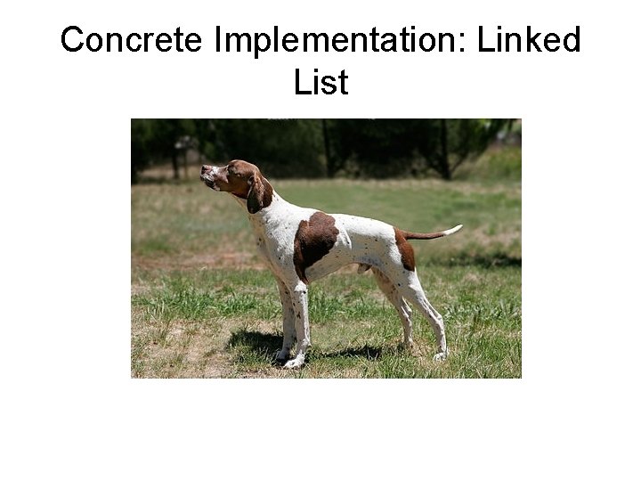 Concrete Implementation: Linked List 