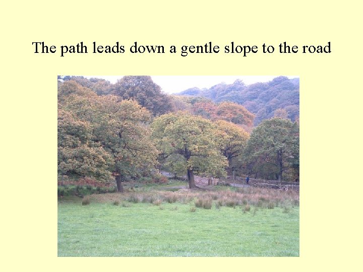 The path leads down a gentle slope to the road 
