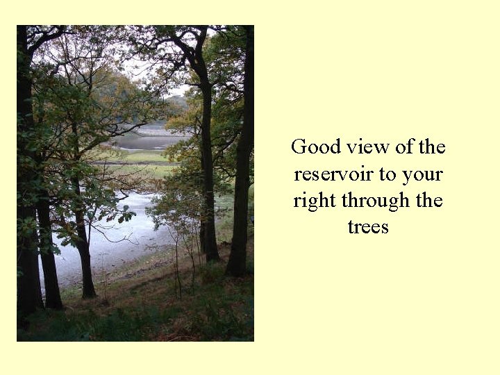 Good view of the reservoir to your right through the trees 