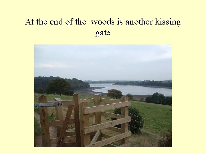 At the end of the woods is another kissing gate 
