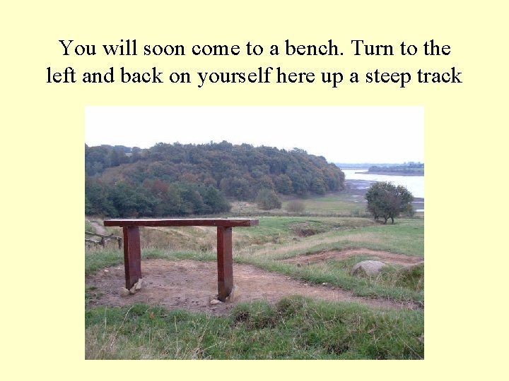 You will soon come to a bench. Turn to the left and back on