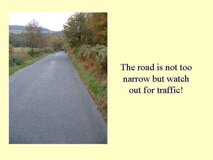 The road is not too narrow but watch out for traffic! 
