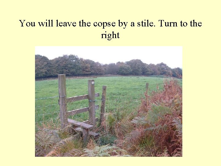 You will leave the copse by a stile. Turn to the right 