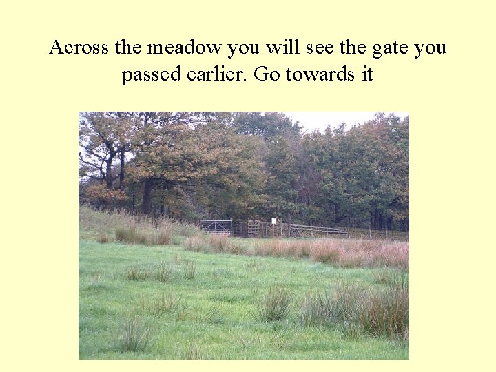 Across the meadow you will see the gate you passed earlier. Go towards it