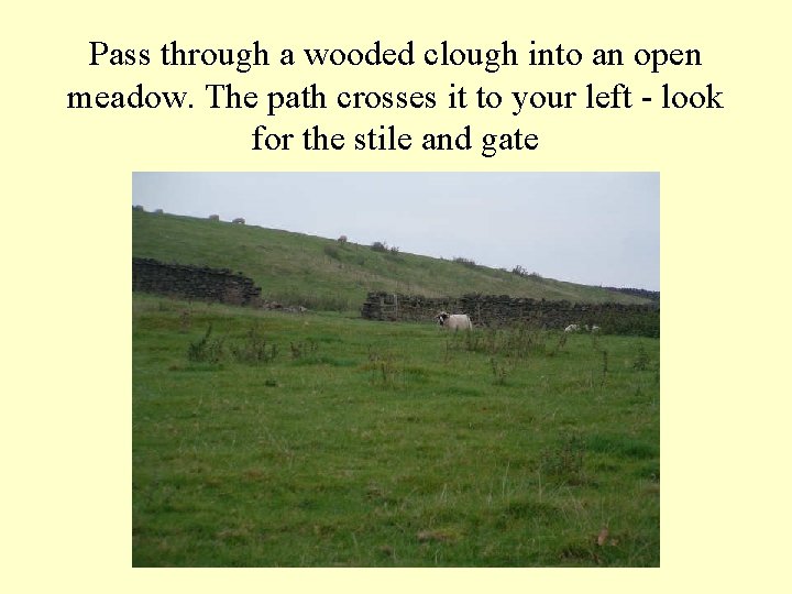 Pass through a wooded clough into an open meadow. The path crosses it to