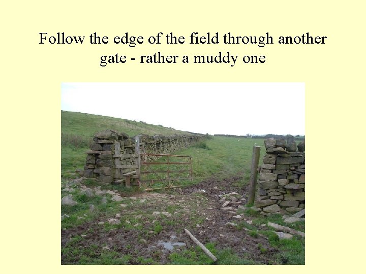 Follow the edge of the field through another gate - rather a muddy one