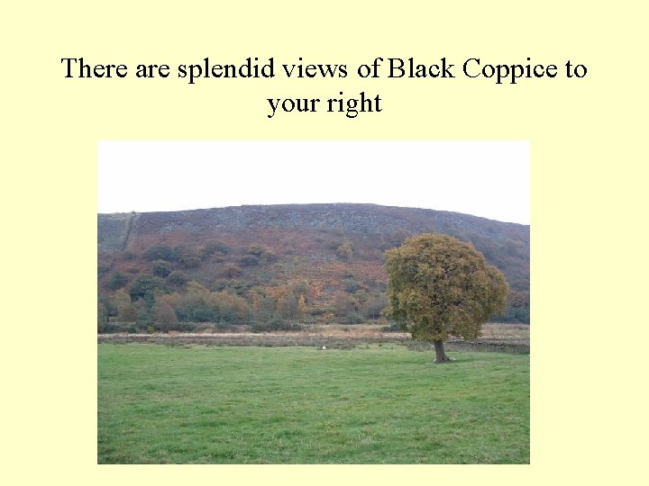 There are splendid views of Black Coppice to your right 