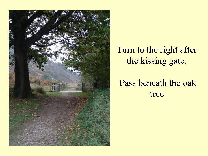Turn to the right after the kissing gate. Pass beneath the oak tree 