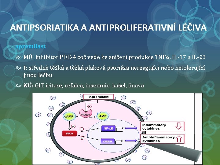 ANTIPSORIATIKA A ANTIPROLIFERATIVNÍ LÉČIVA apremilast MÚ: inhibitor PDE-4 což vede ke snížení produkce TNFα,