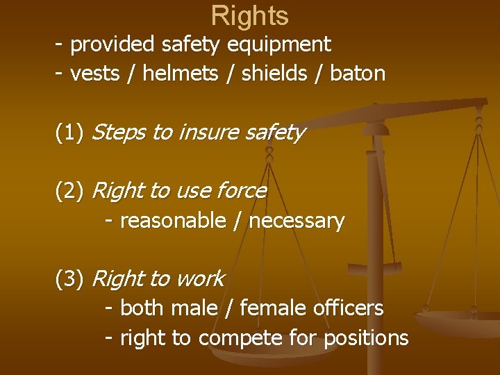 Rights - provided safety equipment - vests / helmets / shields / baton (1)