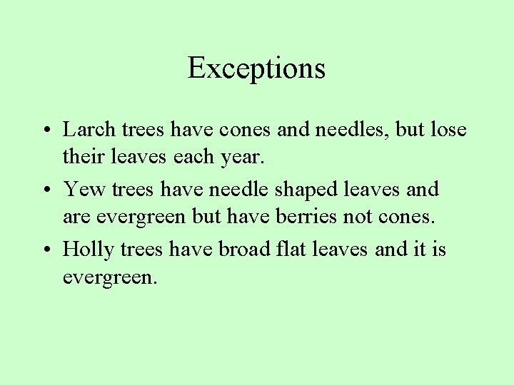Exceptions • Larch trees have cones and needles, but lose their leaves each year.