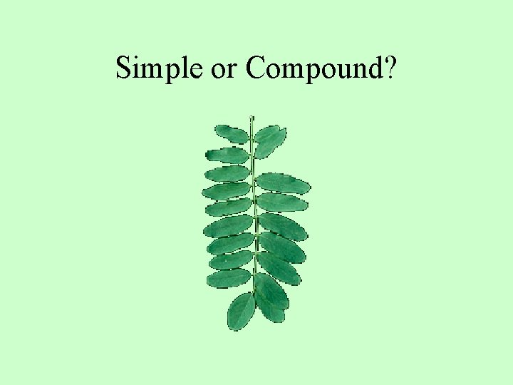 Simple or Compound? 