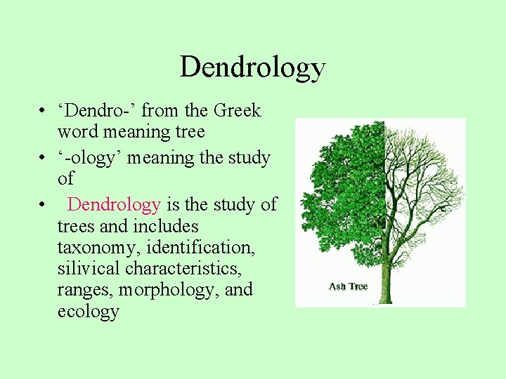 Dendrology • ‘Dendro-’ from the Greek word meaning tree • ‘-ology’ meaning the study