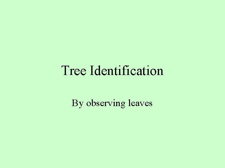 Tree Identification By observing leaves 