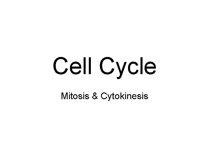 Cell Cycle Mitosis & Cytokinesis 