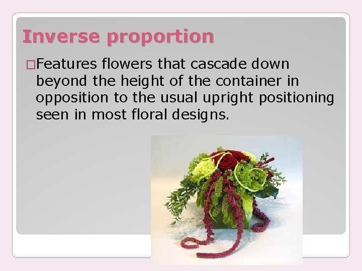 Inverse proportion �Features flowers that cascade down beyond the height of the container in