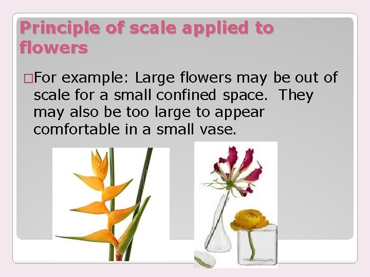 Principle of scale applied to flowers �For example: Large flowers may be out of
