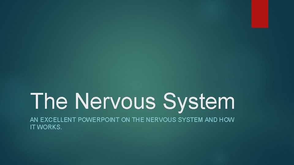 The Nervous System AN EXCELLENT POWERPOINT ON THE