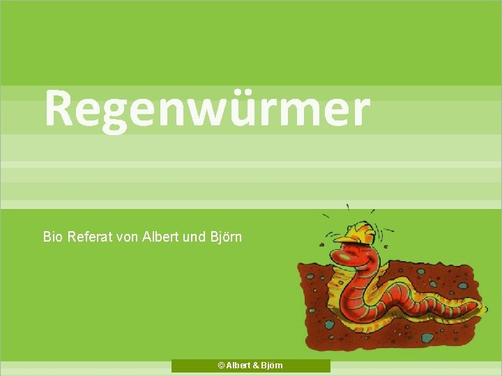 Regenwürmer Bio Referat von Albert und Björn © Albert & Björn 