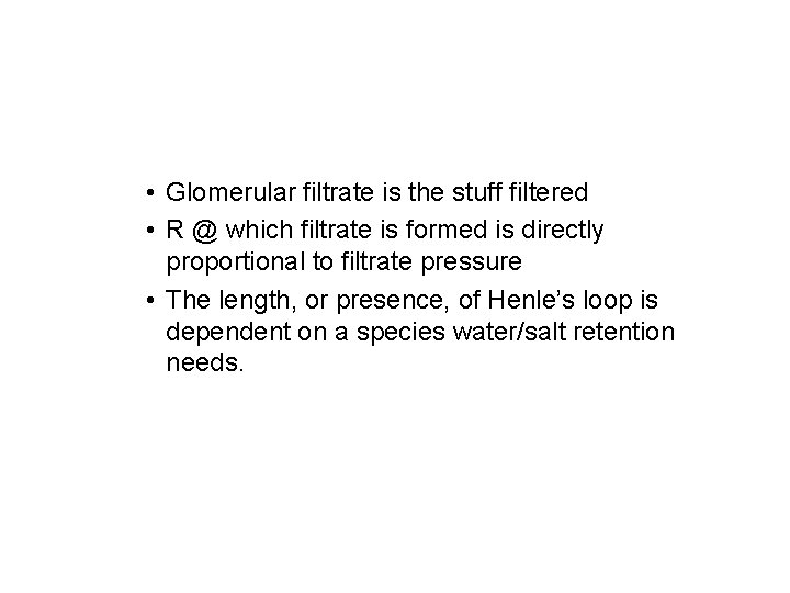 • Glomerular filtrate is the stuff filtered • R @ which filtrate is • Glomerular filtrate is the stuff filtered • R @ which filtrate is