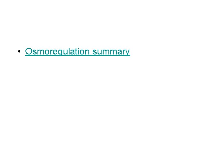 • Osmoregulation summary • Osmoregulation summary