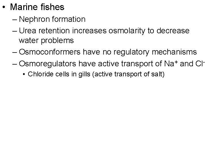 • Marine fishes – Nephron formation – Urea retention increases osmolarity to decrease • Marine fishes – Nephron formation – Urea retention increases osmolarity to decrease