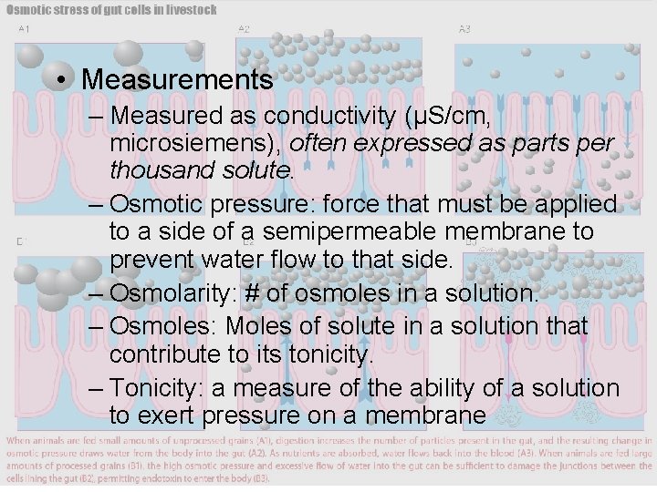 • Measurements – Measured as conductivity (µS/cm, microsiemens), often expressed as parts per • Measurements – Measured as conductivity (µS/cm, microsiemens), often expressed as parts per