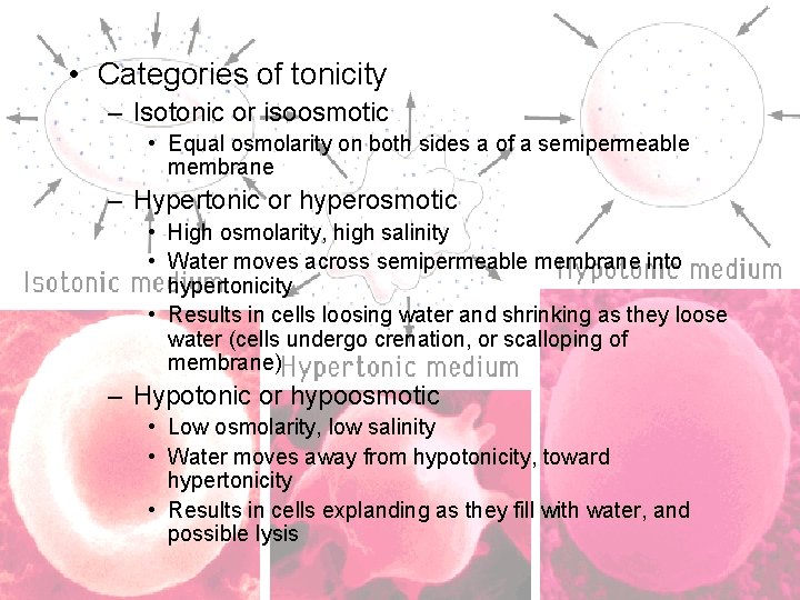 • Categories of tonicity – Isotonic or isoosmotic • Equal osmolarity on both • Categories of tonicity – Isotonic or isoosmotic • Equal osmolarity on both