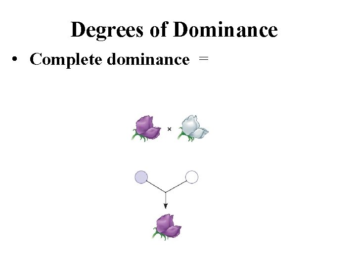 Degrees of Dominance • Complete dominance = 