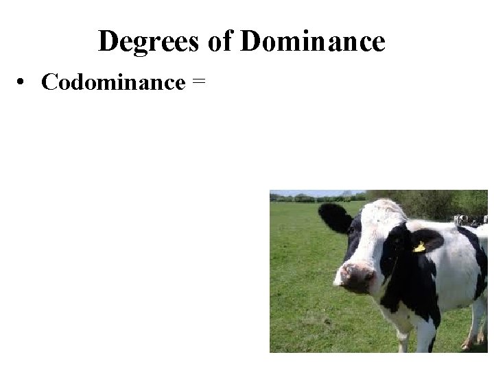 Degrees of Dominance • Codominance = 