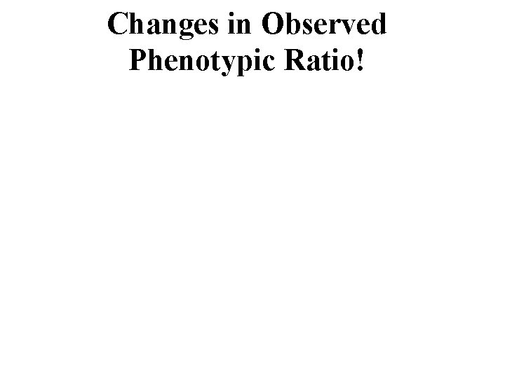 Changes in Observed Phenotypic Ratio! 