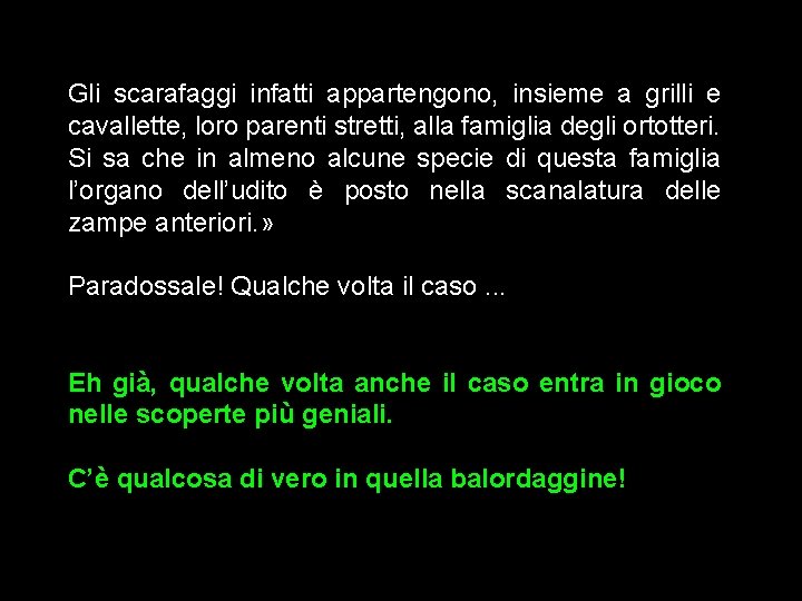 Gli scarafaggi infatti appartengono, insieme a grilli e cavallette, loro parenti stretti, alla famiglia